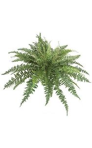 42 inches Artificial Boston Fern - 24 inches Height - Green Fronds - Bare Stem