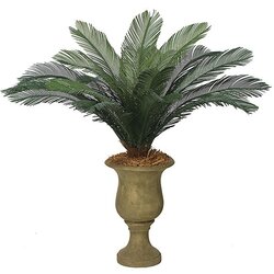 A-0088  44 inches Outdoor  Cycas Palm Cluster - 18 Large Green Fronds - 68 inches Width - Tutone Green
