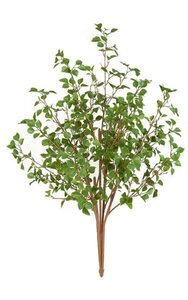 48 inches Birch Bush - 5 Stems - Light Green - 31 inches Foliage Height - 30 inches Width