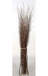 66 inches to 78 inches Birch Twigs - 20 Piece Bundle