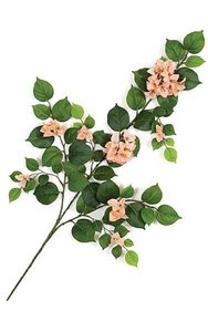 31 inches Bougainvillea Branch - 62 Leaves - 39 Flowers - Peach