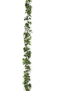 9 feet Holland Ivy Garland - 577 Leaves - Variegated Green