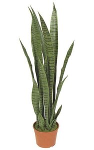 37 inches Plastic Sansevieria - 21 Dark Green Leaves - Weighted Base