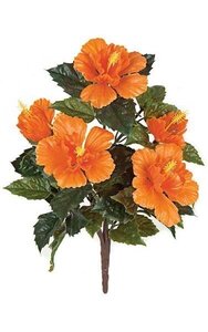 21 inches Outdoor Hibiscus Bush - 5 Orange Flowers - Bare Stem