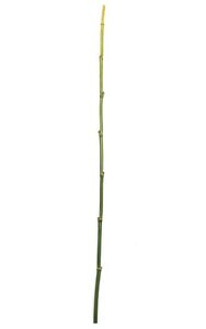 48 inches Plastic Bamboo Stick - Green - 1/4 inches Thick