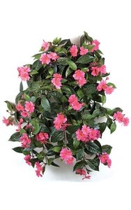 27 inches Impatiens Bush - 417 Leaves - 62 Flowers - 5 Buds -  - Cerise-Beauty