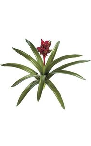 28 inches Guzmania - Natural Touch - 11 Leaves - 1 Flower - 27 inches Width - Green/Red