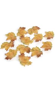 3 inches x 4 inches Maple Leaves with Veins - Yellow/Brown - 12 pcs per bag