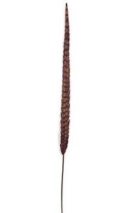 41 inches Feather Stem - Purple - 2 Width