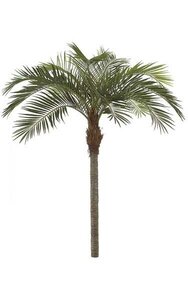 11 feet Coconut Palm - Synthetic Trunk - 10 Fronds - Green - Weighted Base