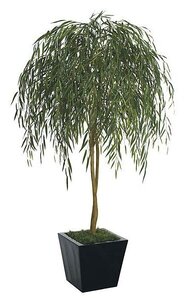 6 feet Willow Tree - Natural Trunk - 1,470 Green Leaves - 40 inches Width - Weighted Base