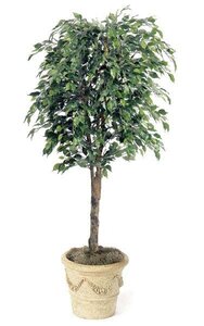 6.5 feet Decor Artificial Ficus Tree - Natural Trunk - 1,951 Leaves - Green - Weighted Base
