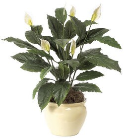 34 inches Artificial Spathiphyllum Bush - Soft Touch - 5 Cream/Yellow Flowers - 2 Buds- FIRE RETARDANT