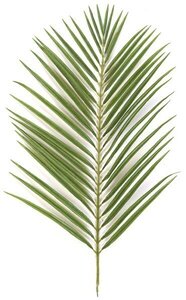 35 inches Areca Palm Branch - 42 Leaves - Green - FIRE RETARDANT