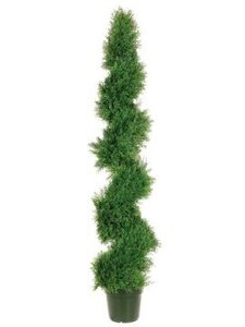 EF-552 5 feet Spiral Pond Cypress Topiary w/1492 Lvs. in Plastic Pot Green Indoor/Outdoor