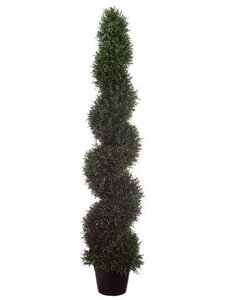 EF-485  	5 feet Outdoor Rosemary Spiral Topiary in Plastic Pot Green
