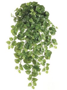 38 inches  Pothos Hanging Bush  w/260 Leaves Green