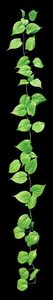 72 inches  PHILODENDRON VINE GARLAND Light Green Fire Retardant
