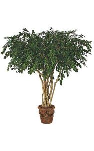 8 feet Ficus Tree - Natural Trunks - 5,472 Leaves - Green - Weighted Base - FIRE RETARDANT - Custom Made