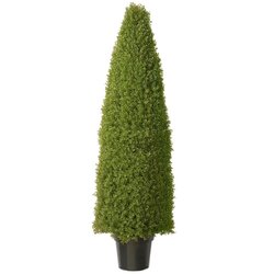 60 inches Outdoor Boxwood cone Topiary
