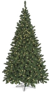C-0211 7.5 feet Tall -10 feet Tall Winchester Christmas Tree Comes with or Without Lights Select Your Height
