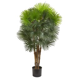 52” Washingtonia Fan Palm Tree Natural Trunk