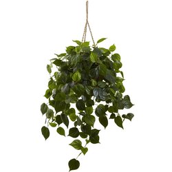 36" Philodendron Hanging Basket UV Resistant (Indoor/Outdoor)