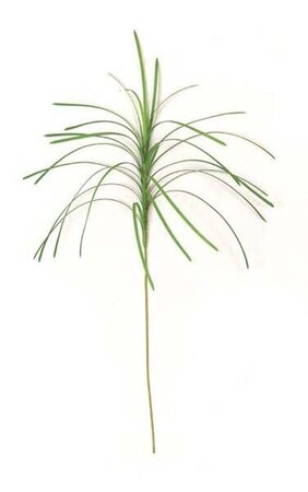 30 inches Plastic Monkey Grass - 27 Leaves - Green