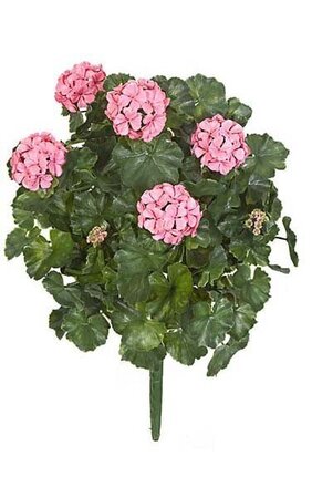 26 inches Outdoor Geranium Bush - 67 Leaves - 5 Flowers - 4 Buds - Pink - Bare Stem