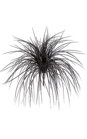 19 inches Plastic Onion Grass - Black