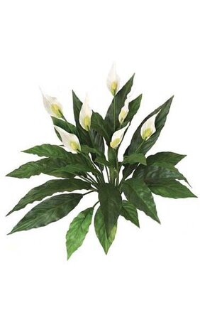 14 inches Spathiphyllum Bush - Soft Touch - 22 Leaves - 7 Cream/Yellow Flowers - Bare Stem