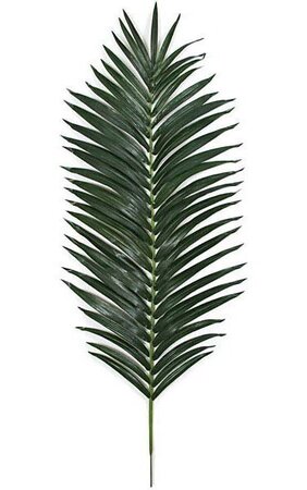 72 inches King Palm Branch - 53 Leaves - Green