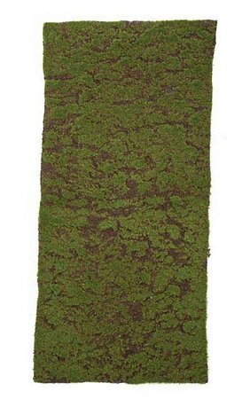 41 inches x 19 inches Plastic Moss Sheet - Green/Brown