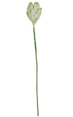 29 inches Protea Stem - Cream