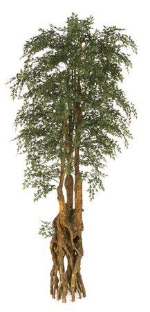 Life Like 9 feet Faux Ming Aralia Tree