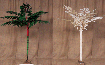 8 feet Canvas Red Palm Comes Painted or Natural