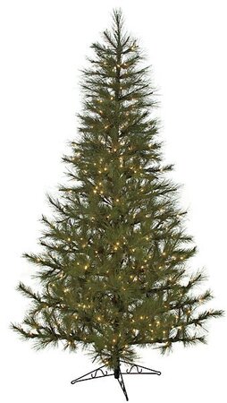 8.5 feet Japanese Red Pine Christmas Tree - Medium Size - 300 Clear Lights