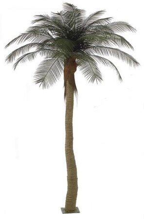 Custom Made 12 feet Phoenix Palm Tree - 8 feet Synthetic Majestic Style Trunk