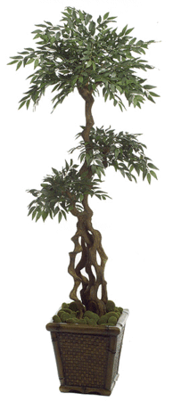 6 feet Faux Ficus Nitida Tree