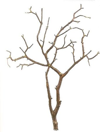 EF-QSW016-BR 27 inches Plastic Twig Branch Brown Color (Sold in a set of 4pc)