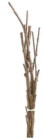 EF-QST184 30 inches Twig Bundle Brown (Sold in a set of 6pc)