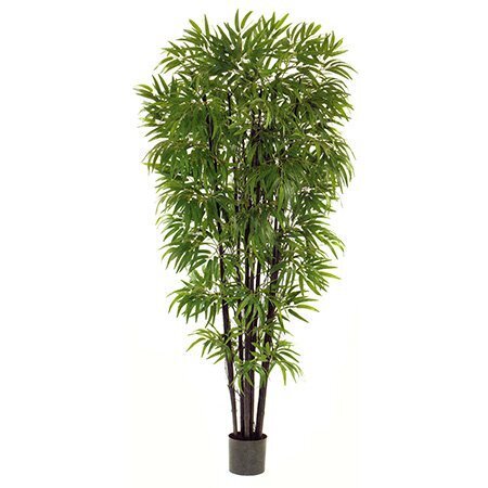 EF-1817 6.5 foot Black Bamboo Tree with natural trunks 1800 Leaves