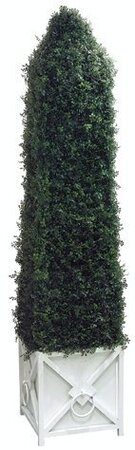 EF-853 84 inches Artificial Boxwood Cone Topiary with Planter Shown 7,650 Leaves