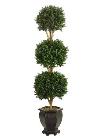 EF-4246 5 feet Tripple Ball Boxwood Topiary Green in Pot Shown Indoor/Outdoor