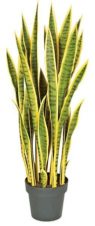 A-112397  39 inches Plastic Sansevieria Plant - 27 Yellow/Green Leaves - 7 inches Weighted Base