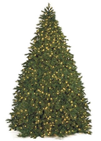 20 feet Commercial Pine Christmas Tree - 8,450 Multi - Colored 5mm LED Lights