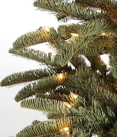 12 Foot Tall Arizona Fir Christmas Tree - Medium Size - 1,750 Warm White LED Lights