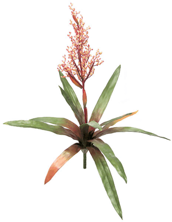 25 inches Bromeliad - Natural Touch - 12 Leaves - 1 Flower - 24 inches Width - Red/Yellow
