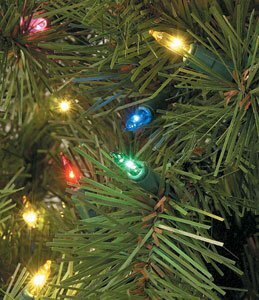 C-84702 7.5 feet & 9 feet  Virginia Pine Christmas Tree with Multi Colored Lights