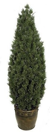6 feet Plastic Cedar Tree - 3,416 Green Leaves - 20 inches Width - Weighted Base